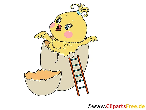 Clip Art Chicken