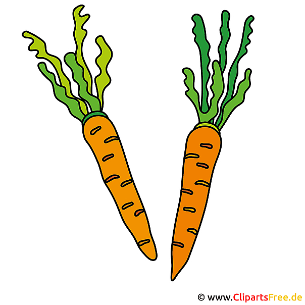 Grafika clipart marchewki obrazu Grafika clipart marchewki obrazu