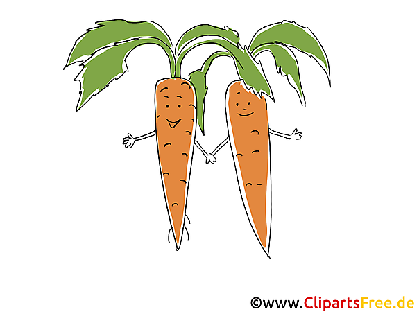 Marchew clipart, ilustracja, obraz, kreskówka Marchew clipart, ilustracja, obraz, kreskówka