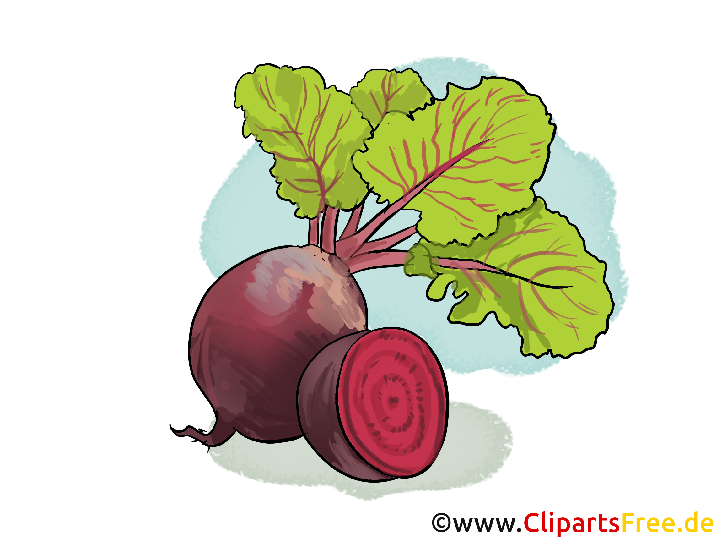 Rote Bete Clipart, Bild, Illustration