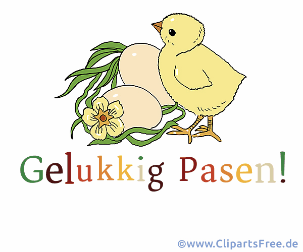 Bild mit Küken zu Ostern auf Niederländisch