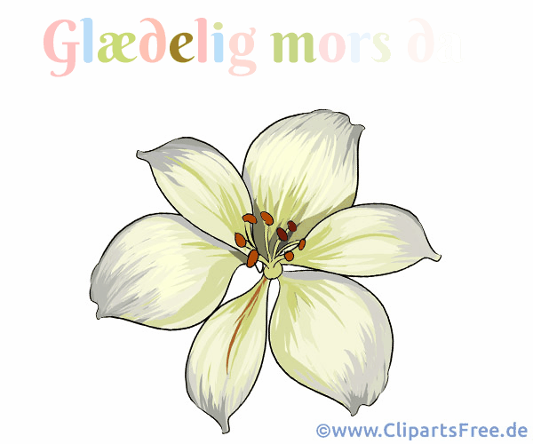 Bild zum Muttertag auf Dänisch zum Teilen im Internet