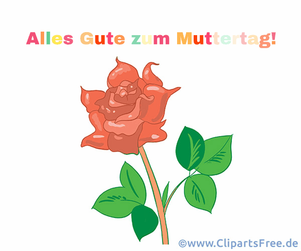 Schöne Rose zum Muttertag zum Teilen in sozialen Netzwerken