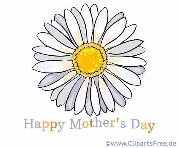 Kamille zum Muttertag Grußkarte auf Englisch
