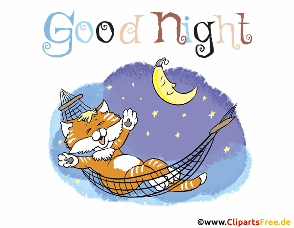 Gif Gute Nacht mit Katze Gif Gute Nacht mit Katze