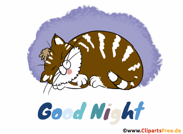 Kater schläft - Animierte Gute Nacht Bilder