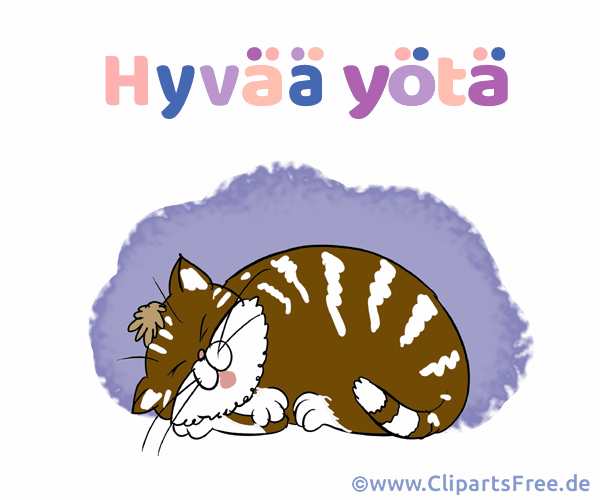 Gute Nacht auf Finnisch Bild zum Teilen in Sozialen Netzwerken