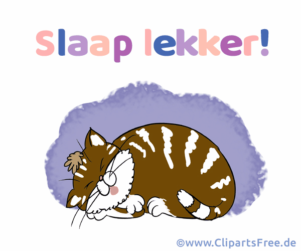 Bild Gute Nacht auf Niederländisch