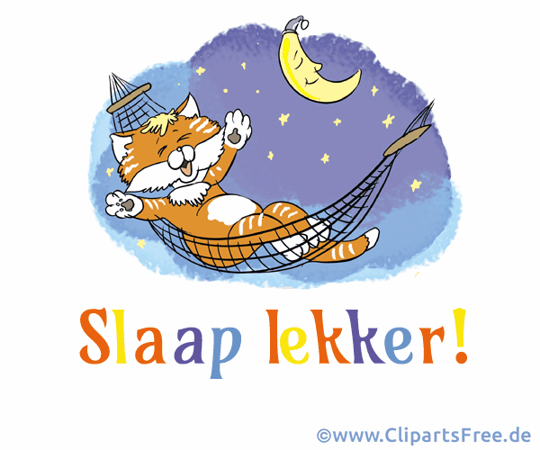 E-Karte Gute Nacht auf Niederländisch animiert