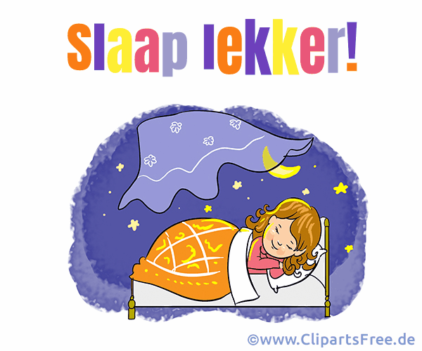 Gute Nacht auf Niederländisch Bild online