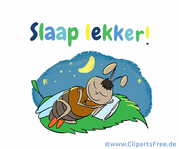 Gute Nacht auf Niederländisch Grusskarte