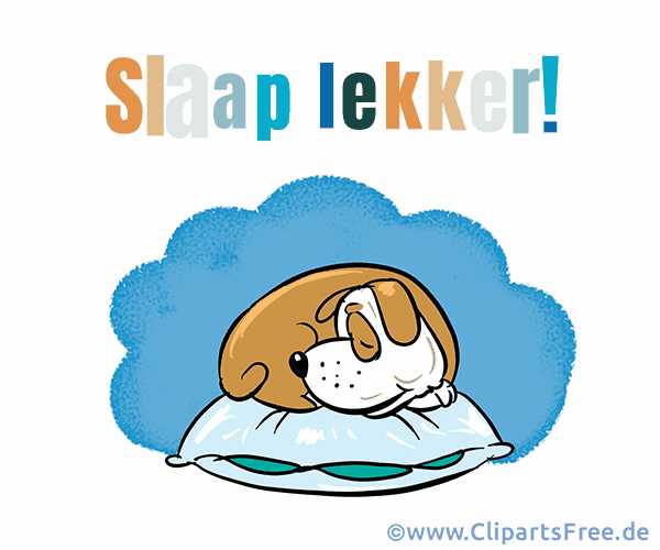 Gute Nacht Grußkarte in Niederländischer Sprache