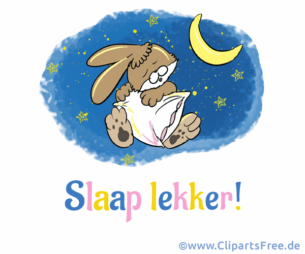 Schöne Grusskarte mit Gutenachtwünschen auf Niederländisch