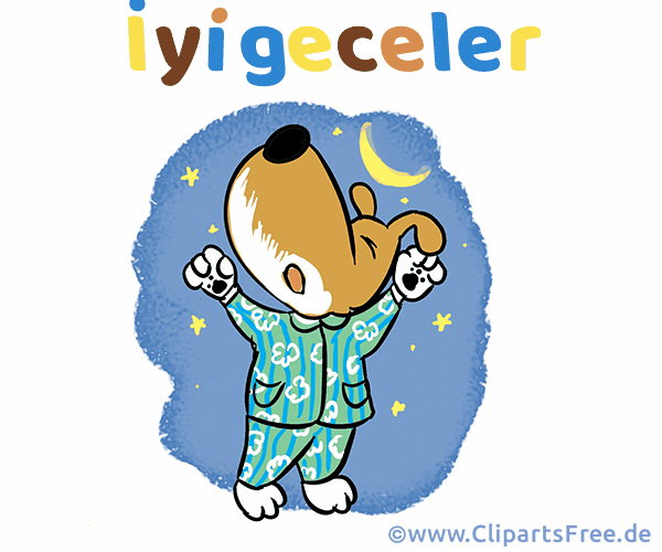 E-Card Gute Nacht auf Türkisch