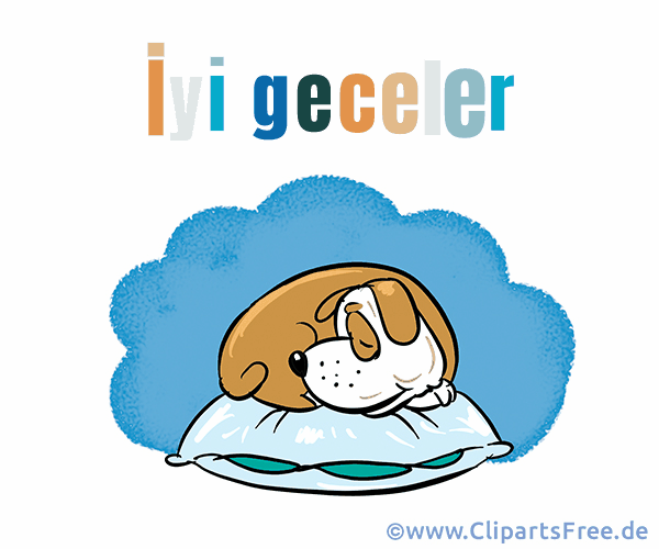 E-Karte Gute Nacht auf Türkisch