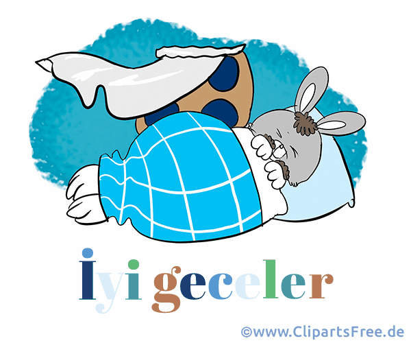 Gute Nacht auf Türkisch Cartoon-Grußkarte