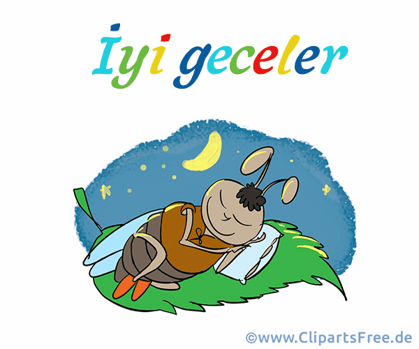 Gute Nacht auf Türkisch Comicbild