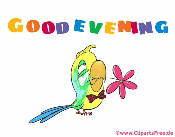 Bunte Grusskarte mit Papagei - Guten Abend Gifs