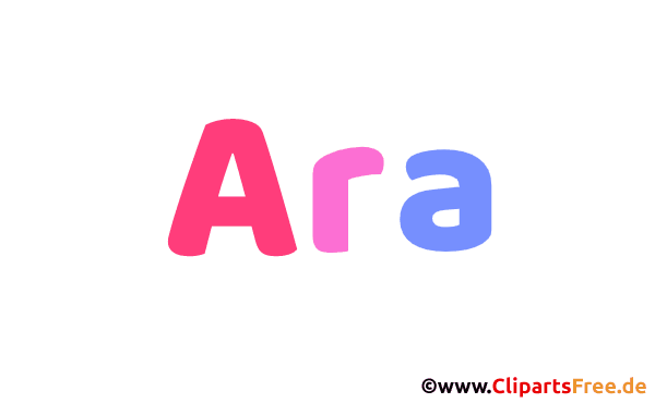 Ara Vorname Bild mit Deko Schrift - Vornamen für Jungs