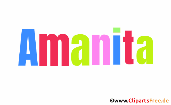Amanita Vorname für Mädchen - Schöne Frauenvornamen mit Deko-Buchstaben