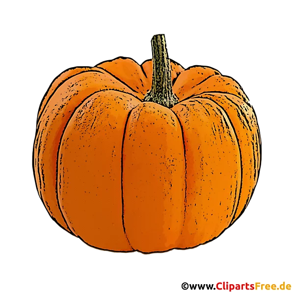 Clipart Kürbis - PNG Bilder mit transparentem Background