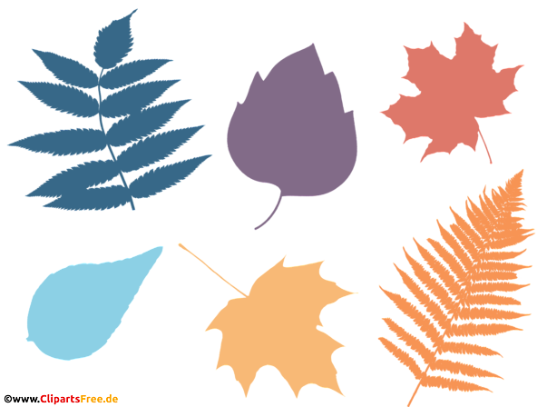 Hintergrundbild Baumblätter in verschiedenen Farben PNG transparent