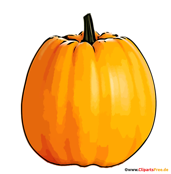 Kürbis Illustration - Herbst Bilder im PNG-Format