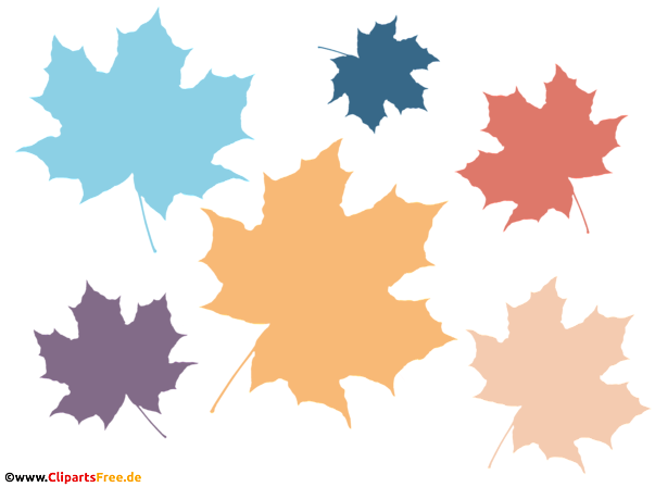 Laub, Ahornblätter in unterschiedlichen Farben PNG Clipart