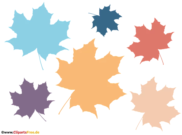 Laub, Ahornblätter in unterschiedlichen Farben PNG Clipart