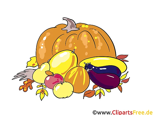 Schöne Bilder kostenlos - Herbst, Ernte, Gemüse und Obst