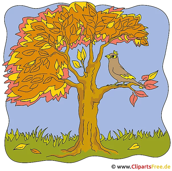 Vogel auf der Ast Clipart - Herbst Bilder gratis