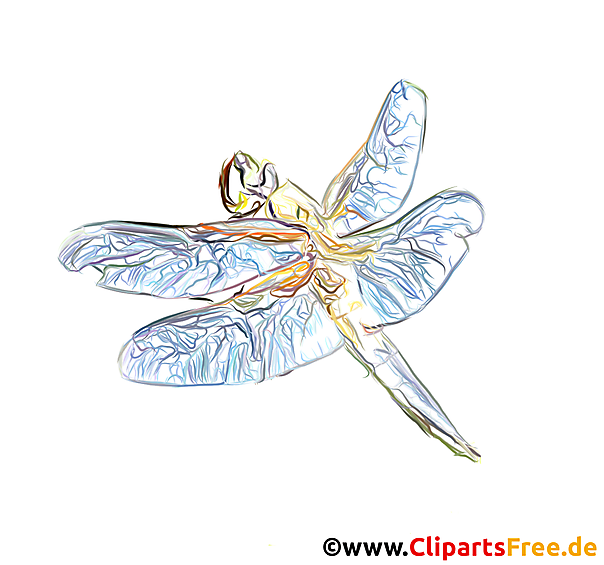 Augenstecher Bild - Bilder für Online-Unterricht für Lehrer und Schüler