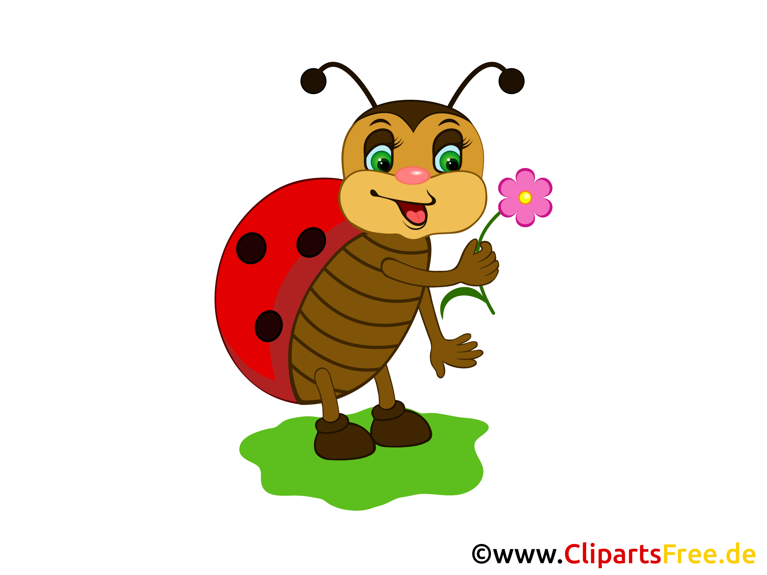 Ladybug Image Clip Art Illustration Free Graphic