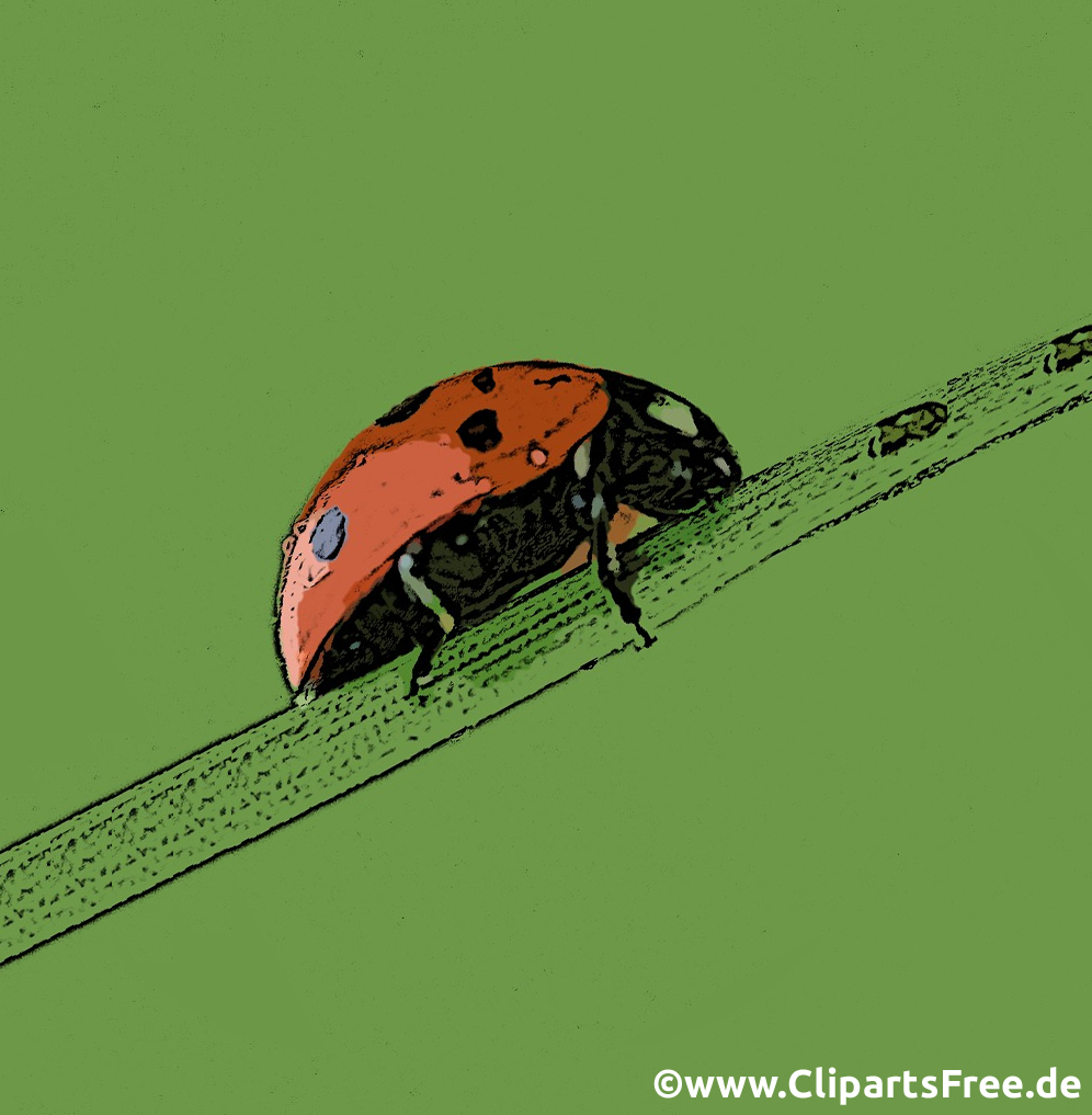 Marienkäfer krabbelt auf Stil einer Blume Clipart ...