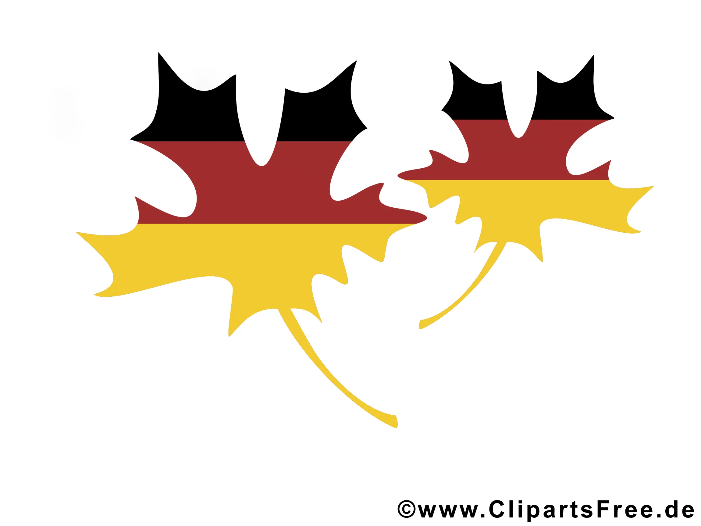 Bilder 3 Oktober