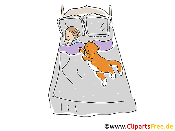 Katze schläft im Kinderzimmer Cartoon, Clipart, Bild, Illustration