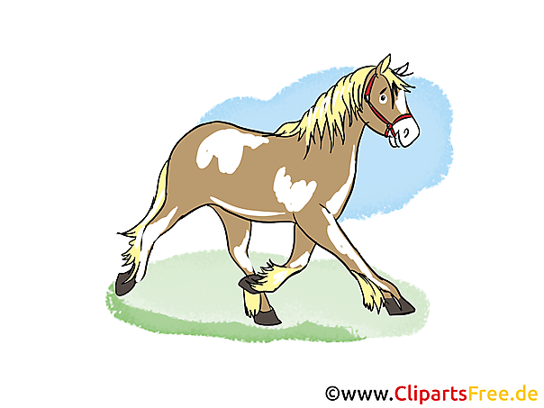 Pferd Clipart Kostenlos