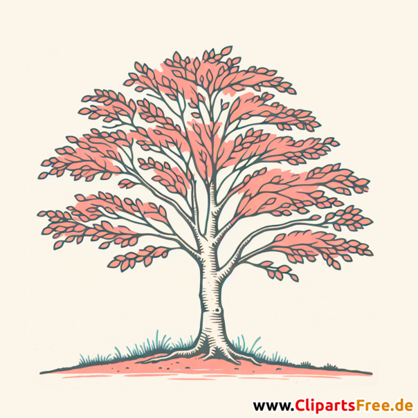 Buche Clipart - Bilder zum Thema Bäume