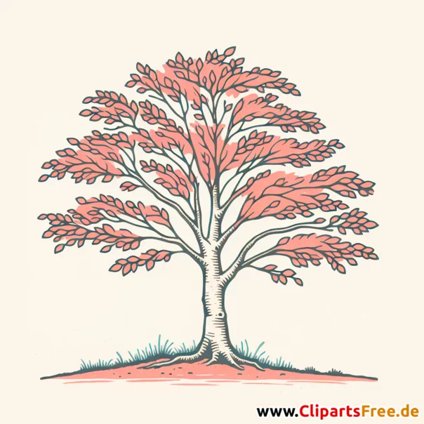 Buche Clipart - Bilder zum Thema Bäume