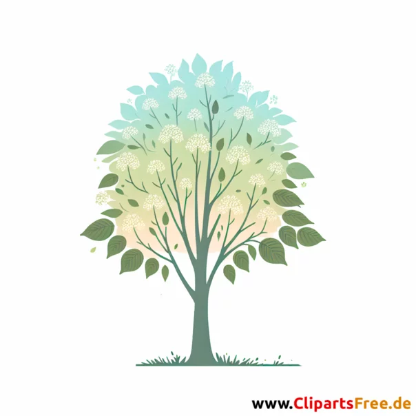 Linde Clipart - Bilder zum Thema Bäume