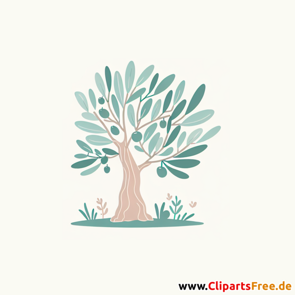 Olivenbaum Clipart - Bilder zum Thema Bäume