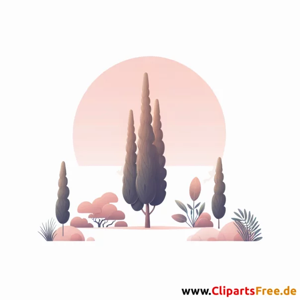 Zypresse Clipart - Bilder zum Thema Bäume