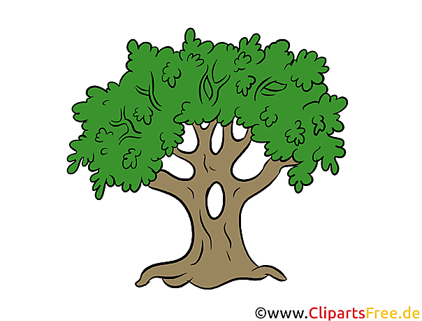 Eiche Baum Clipart Illustration Bild Kostenlos