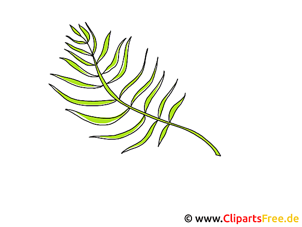 Clipart Di Ramo Di Palma Per Domenica Delle Palme
