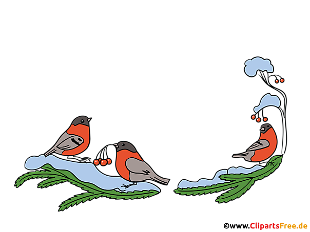 Schöne Gimple Rahmen für Bilder im PNG-Format