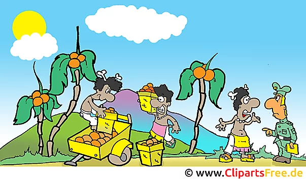 Cartoon Illustration Kaffeeplantage Bild