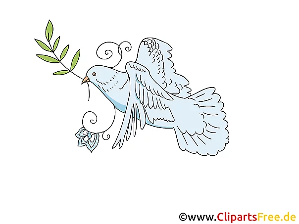 Taube zu Pfingsten Clipart, Bild, Cartoon