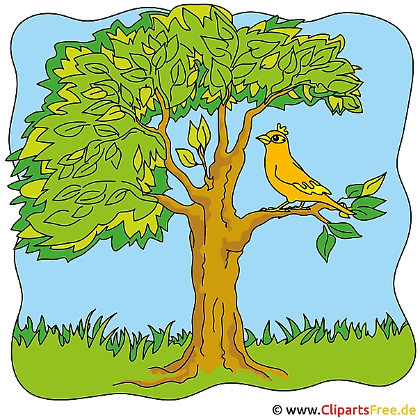 Kostenlose Bilder Zum Sommer Baum Clipart