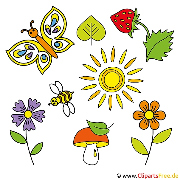 Sommer Bilder Gratis Pilz Sonne Erdbeere Blume Biene