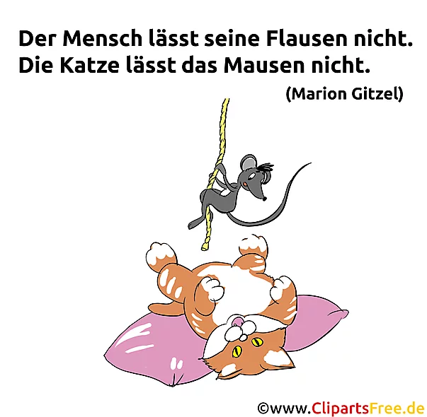 Katzensprüche - Tolle Sprüche für alle Katzenliebhaber